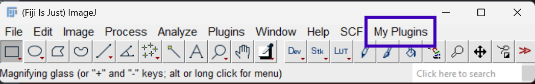fiji-my-scripts.png