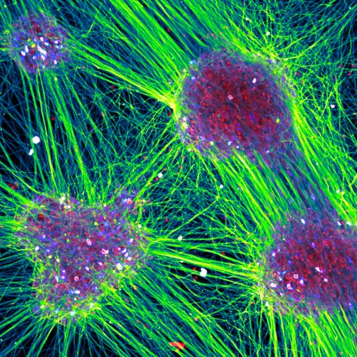 Everything is connected