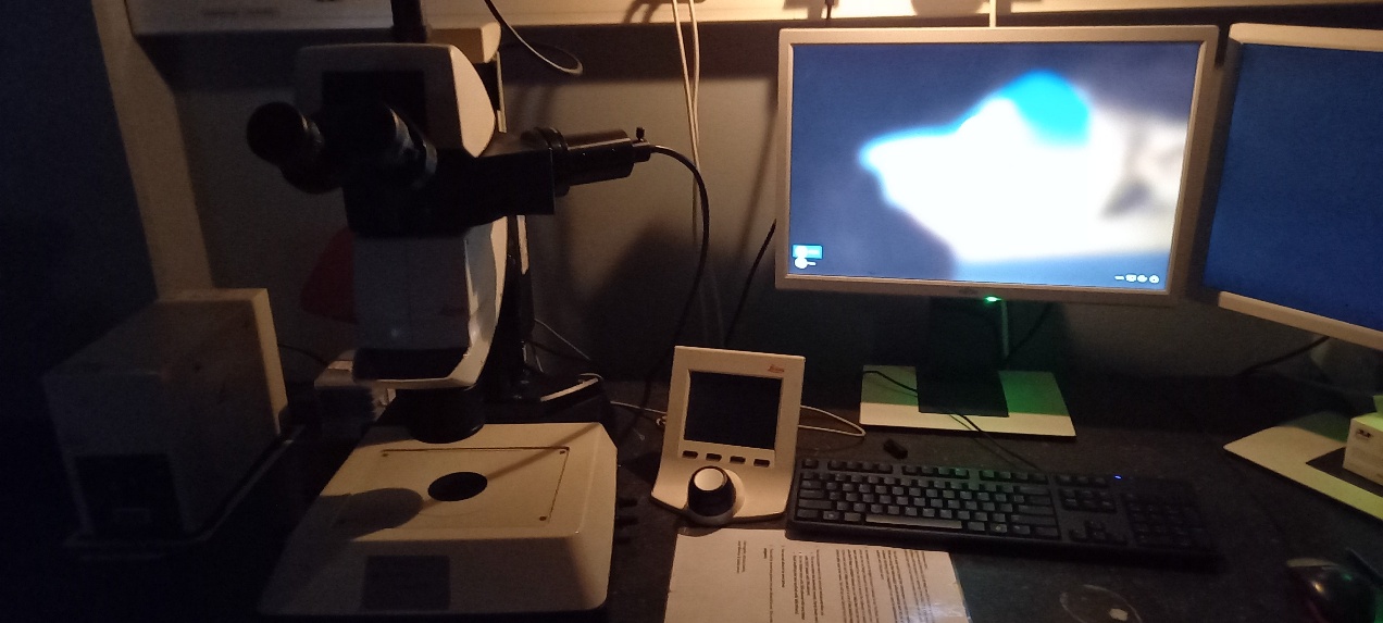Stereo Fluorescence