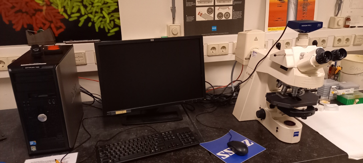 DIC Microscope