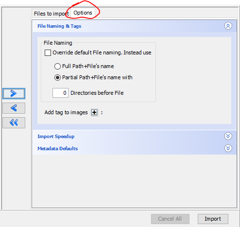 Export options