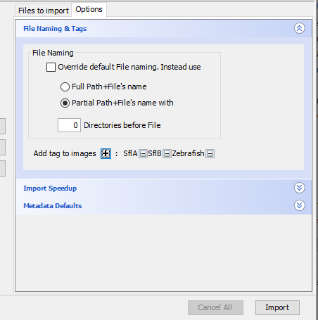 Export format selection