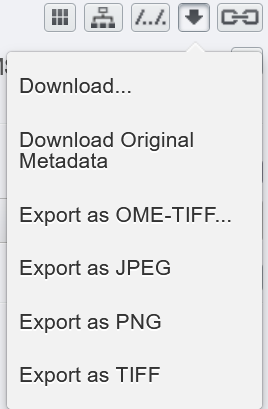 Download from OMERO web